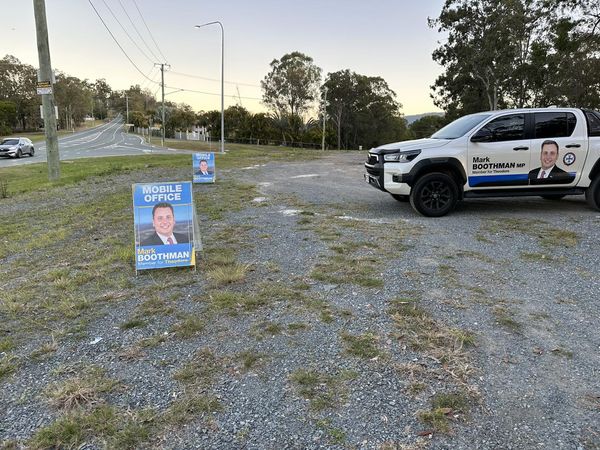 Community Roadsides Guanaba